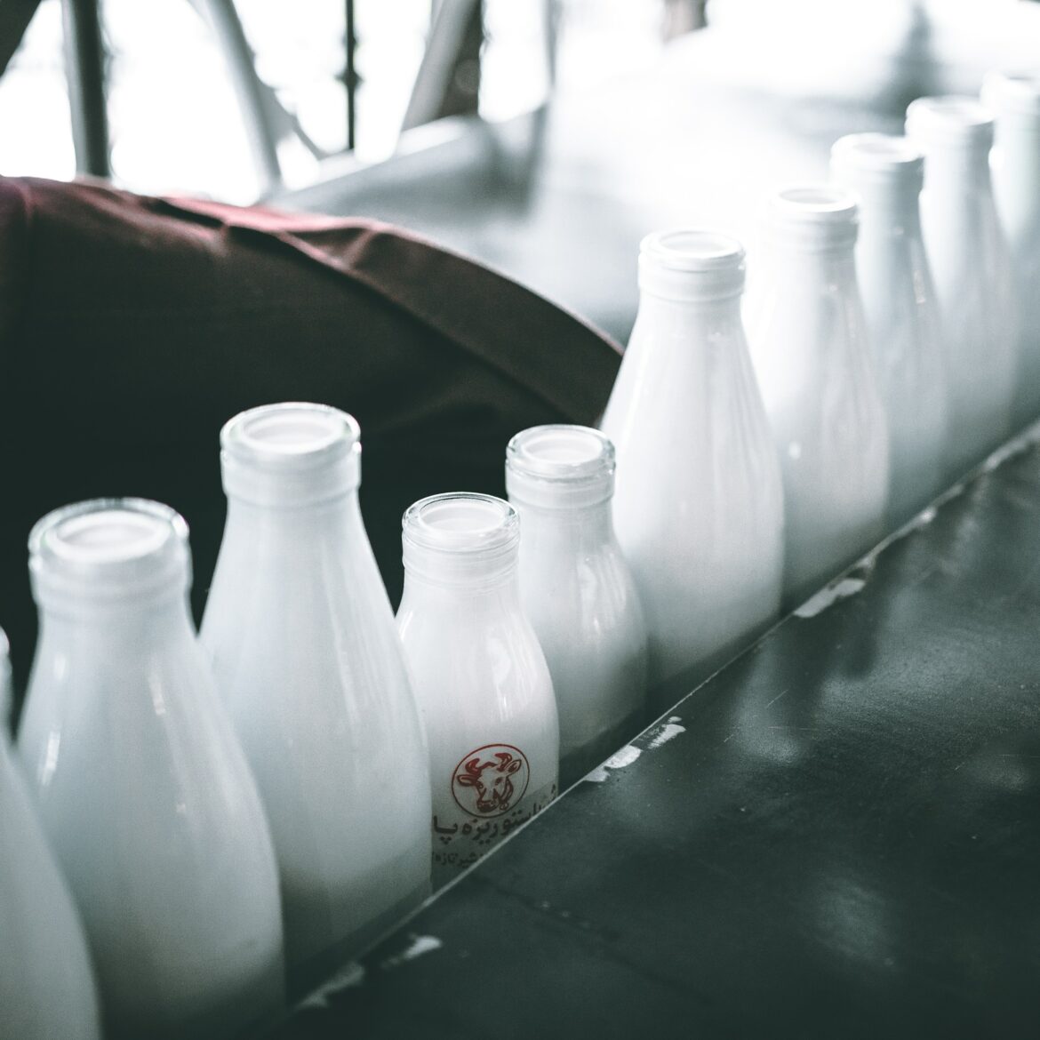 De vele soorten melk, wat is het verschil? melk